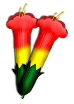 flor cantuta g